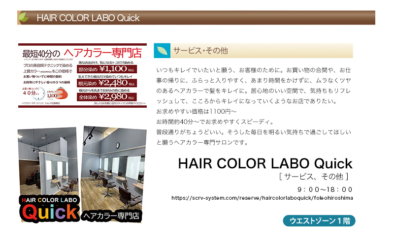 HAIR COLOR LABO Quick