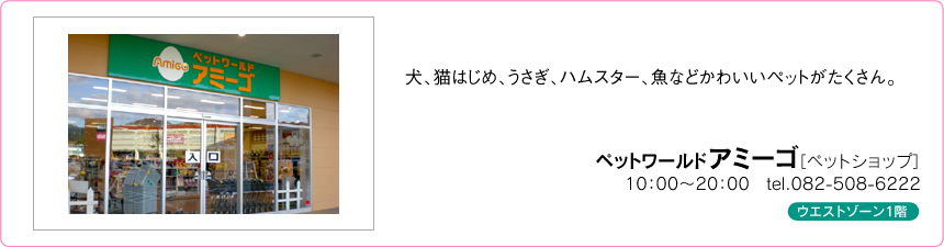 ペットワールドアミーゴ ペットワールドアミーゴ