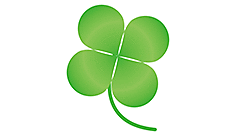 �V�������X���������Ă���܂�